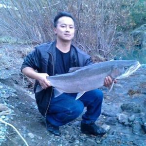 Meet your Posher, Ger